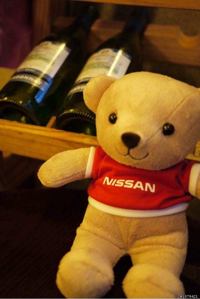 NISSAN愛地熊日記