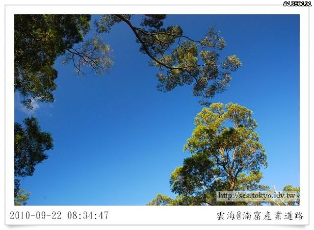 【雲海漫漫】單騎直上天邊的湳窟產業道路
