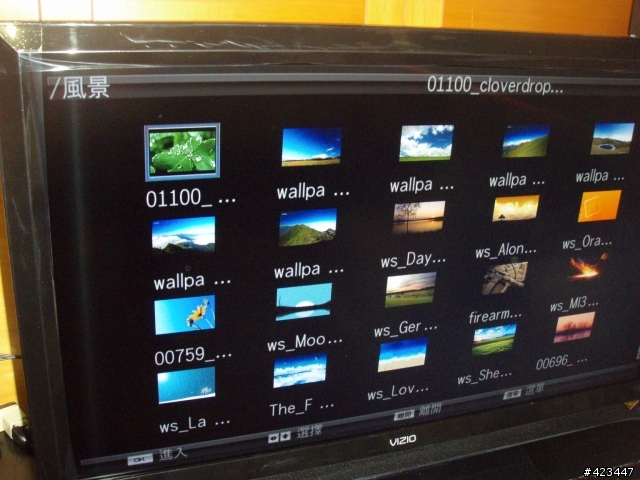 VIZIO (瑞軒) E420VL-TW 使用問題與討論