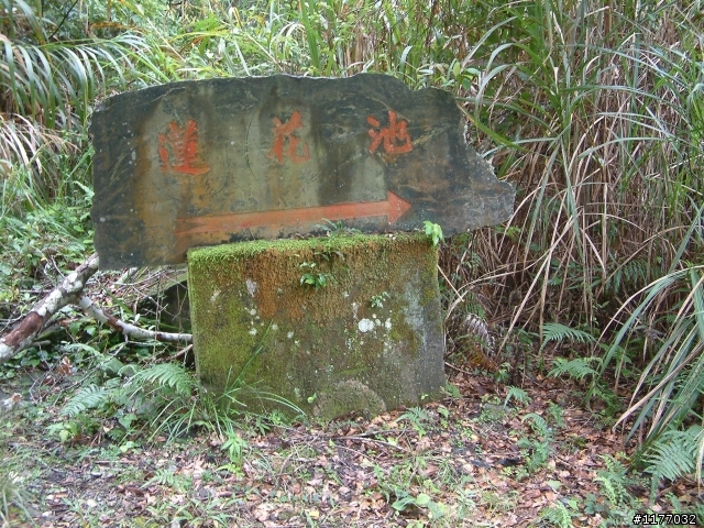 10/8~10/10 獨跑花蓮慢活and露營and沒帶腦遊記