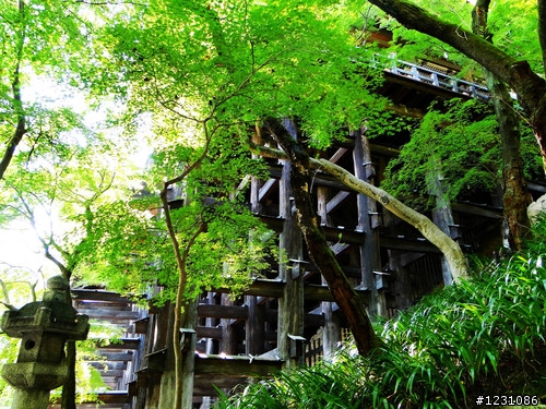 日本8天7夜自由行 心得分享~中篇(圖多)