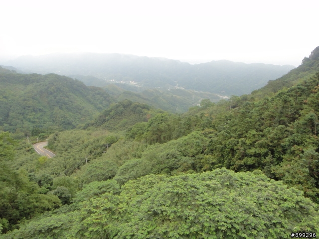 【遊記】仙山+鹿場+向天湖一日遊