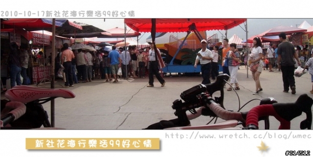 2010-10-17新社花海行樂活99好心情(台北有花博台中有花海)