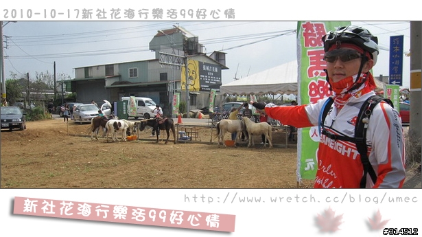 2010-10-17新社花海行樂活99好心情(台北有花博台中有花海)