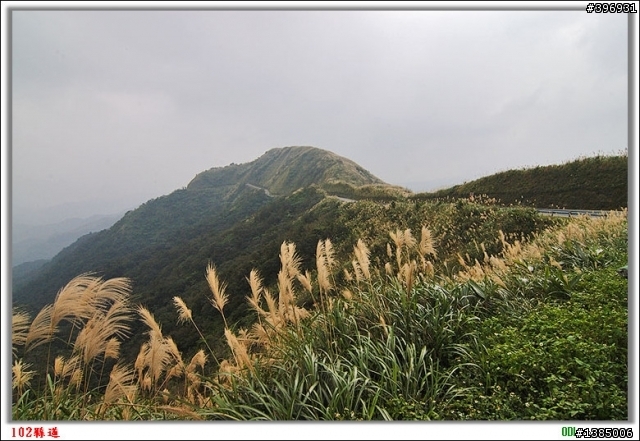 ﹝假日約騎﹞10月24日戀戀山城九份(坐火車到瑞芳)