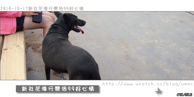 2010-10-17新社花海行樂活99好心情(台北有花博台中有花海)