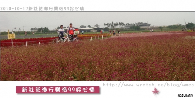 2010-10-17新社花海行樂活99好心情(台北有花博台中有花海)