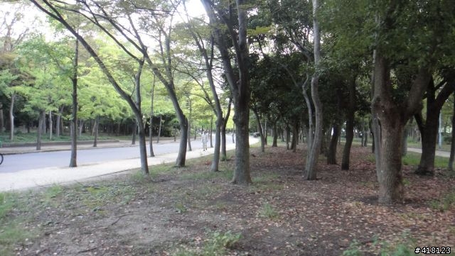 我跟NISSAN CUBE的半天相處@Osaka