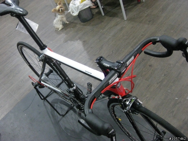 【幫友分享】荷蘭 KOGA miyata -Roadracer ~超值碳纖維公路車~我的小黑2號