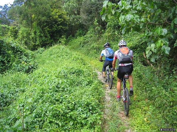 龍母拜山單車offload