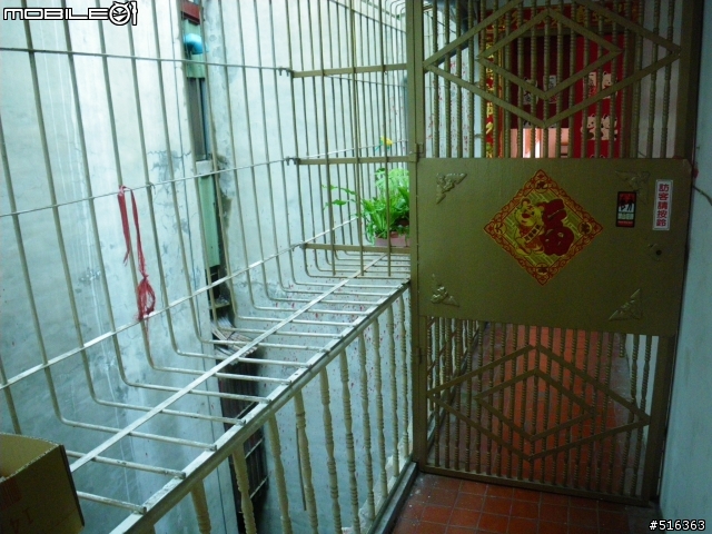 <文人雅痞> 我的玄關小蕨