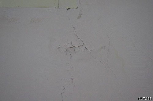 (10/13更新:附上大照片) xypex(賽博斯)可以覆蓋在樂土(樂繕)上嗎?