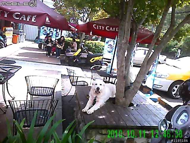 2010/10/11高雄至合歡山一日遊