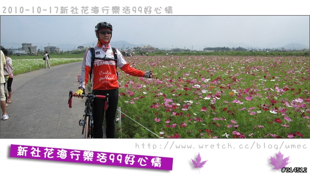 2010-10-17新社花海行樂活99好心情(台北有花博台中有花海)