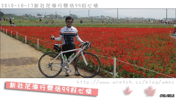 2010-10-17新社花海行樂活99好心情(台北有花博台中有花海)