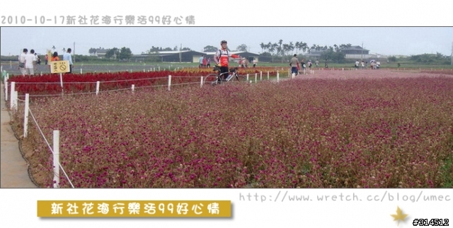 2010-10-17新社花海行樂活99好心情(台北有花博台中有花海)