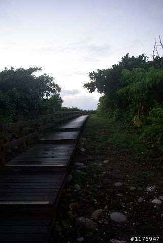 南橫的最後一瞥-屬於高雄三個高中畢業生的環島之旅