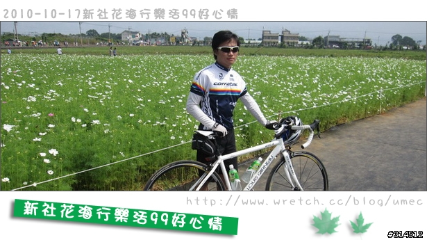 2010-10-17新社花海行樂活99好心情(台北有花博台中有花海)