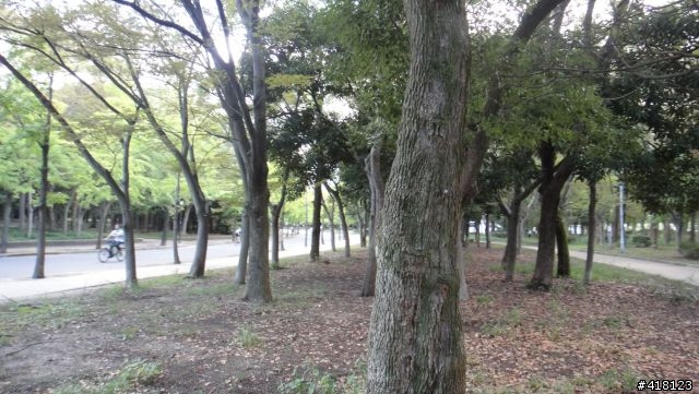 我跟NISSAN CUBE的半天相處@Osaka