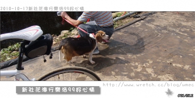 2010-10-17新社花海行樂活99好心情(台北有花博台中有花海)