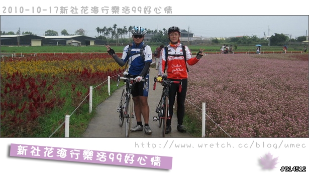 2010-10-17新社花海行樂活99好心情(台北有花博台中有花海)