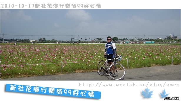 2010-10-17新社花海行樂活99好心情(台北有花博台中有花海)