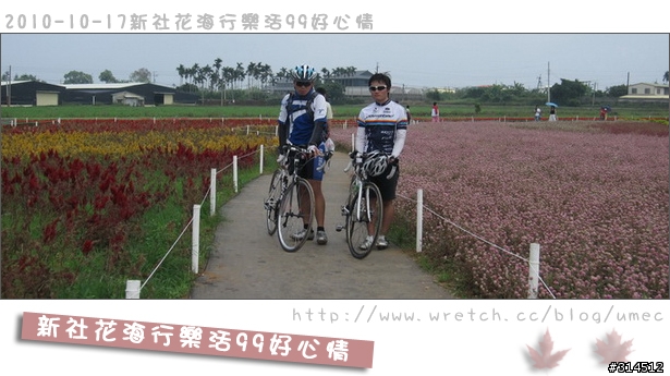 2010-10-17新社花海行樂活99好心情(台北有花博台中有花海)