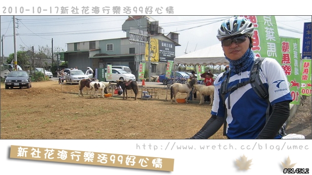 2010-10-17新社花海行樂活99好心情(台北有花博台中有花海)