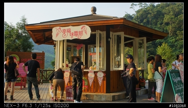NEX-3安妮公主花園+花海+彩繪村