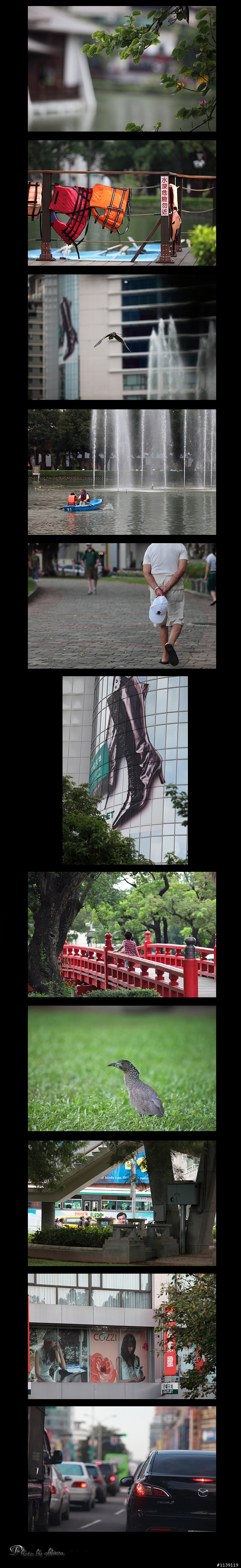 Canon 200mm f/2.8 L 開箱 + 貼圖