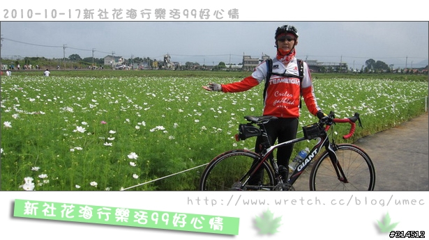 2010-10-17新社花海行樂活99好心情(台北有花博台中有花海)