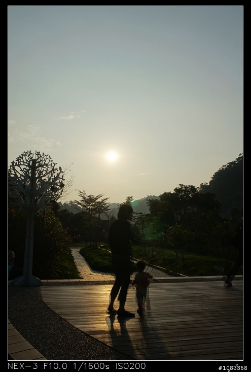 NEX-3安妮公主花園+花海+彩繪村