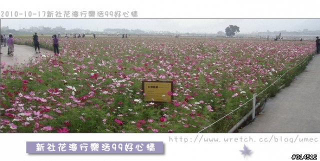 2010-10-17新社花海行樂活99好心情(台北有花博台中有花海)