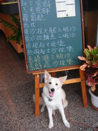帶我家小黃白邊境一天一夜墾丁之旅~~