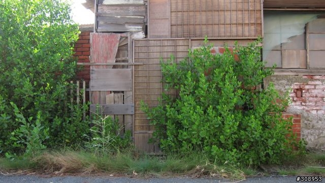 CANON S95 開箱 ! (新增2010.10.31 照片)
