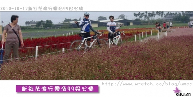 2010-10-17新社花海行樂活99好心情(台北有花博台中有花海)