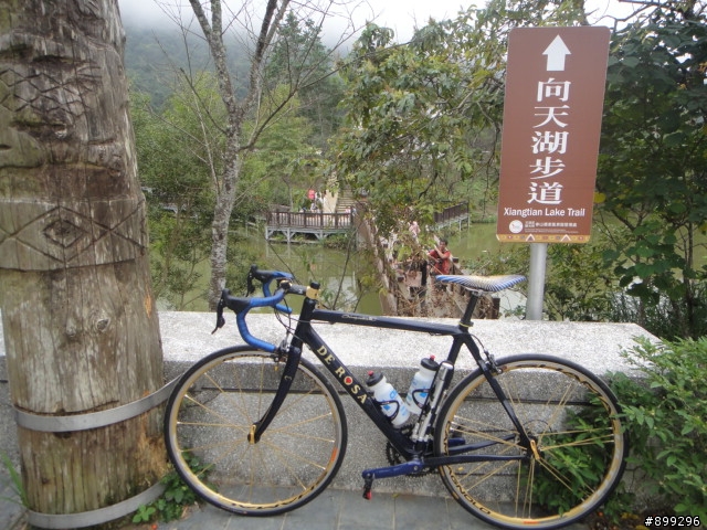 【遊記】仙山+鹿場+向天湖一日遊