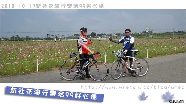 2010-10-17新社花海行樂活99好心情(台北有花博台中有花海)