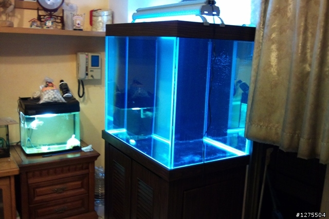 我的3呎下部過濾龍魚缸開箱~~(圖多 有雷人內容)