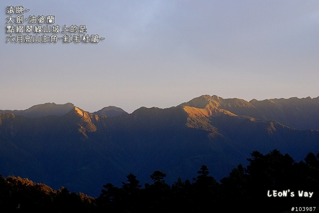 紀念~Sony A100