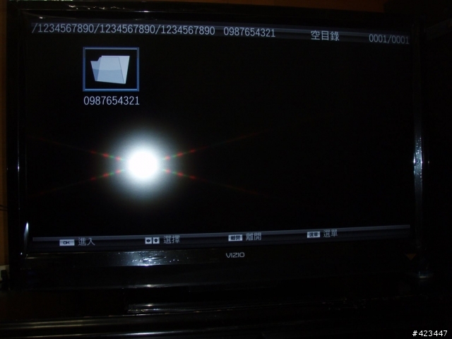 VIZIO (瑞軒) E420VL-TW 使用問題與討論