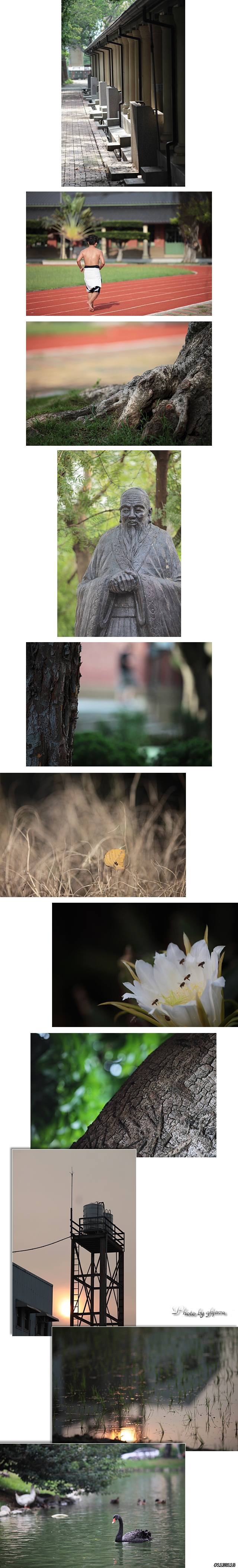 Canon 200mm f/2.8 L 開箱 + 貼圖