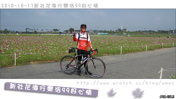 2010-10-17新社花海行樂活99好心情(台北有花博台中有花海)