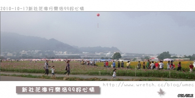 2010-10-17新社花海行樂活99好心情(台北有花博台中有花海)