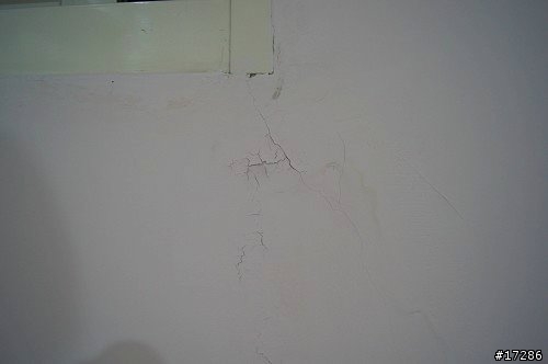 (10/13更新:附上大照片) xypex(賽博斯)可以覆蓋在樂土(樂繕)上嗎?
