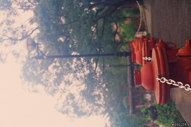 CANON AE-1P測光與曝光問題(使用正片)