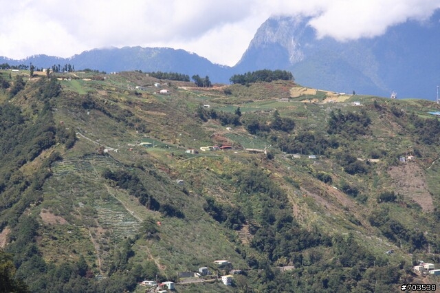 愛將-梨山 德基水厙行(99.10.11)