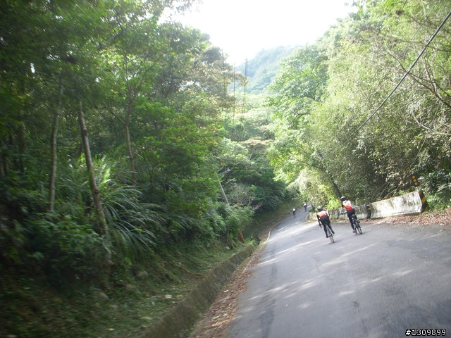 2010羅馬公路縱橫挑戰賽