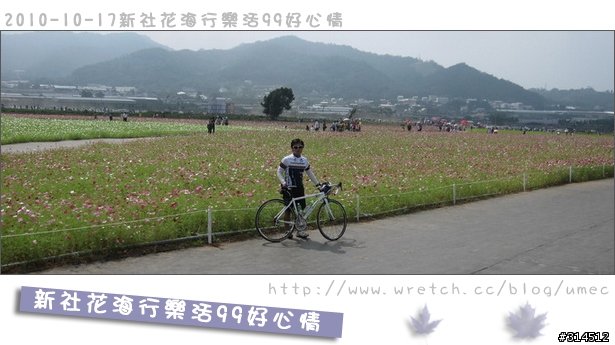 2010-10-17新社花海行樂活99好心情(台北有花博台中有花海)