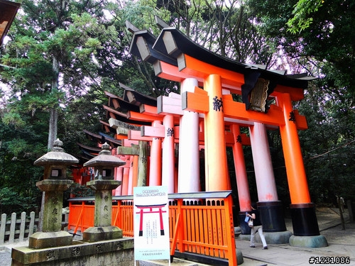 日本8天7夜自由行 心得分享~中篇(圖多)